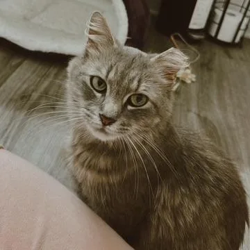 Maisy thumbnail 3