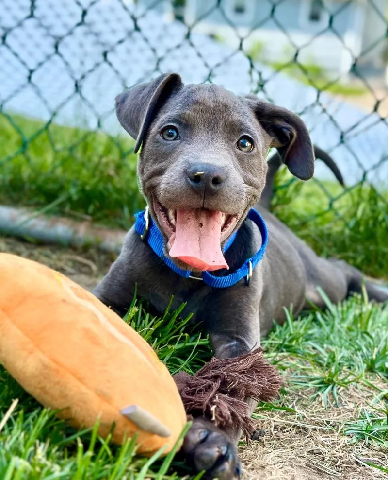 Ike