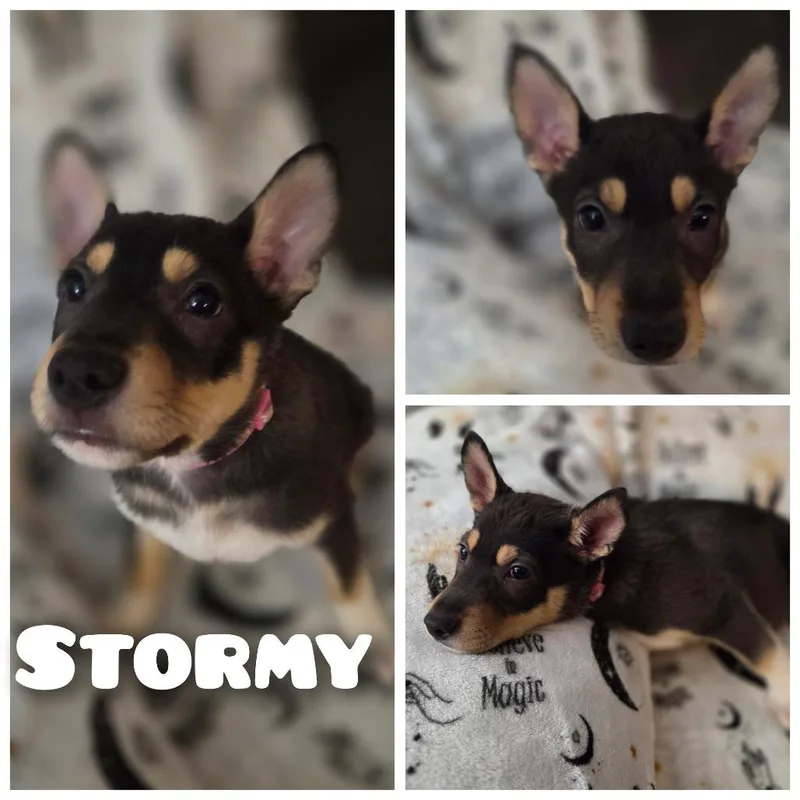 Stormy
