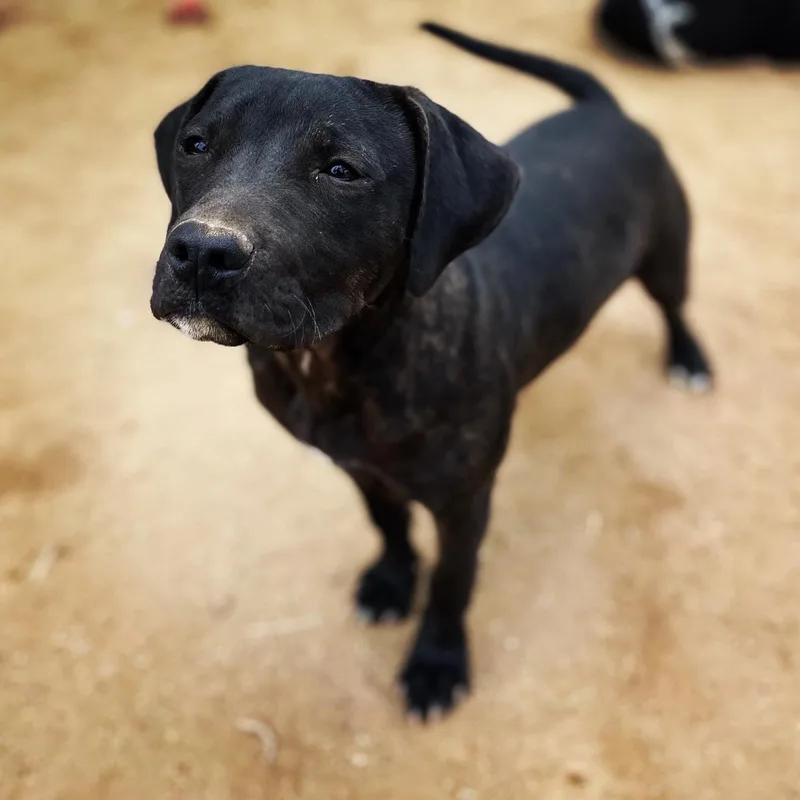 Leonardo thumbnail 2