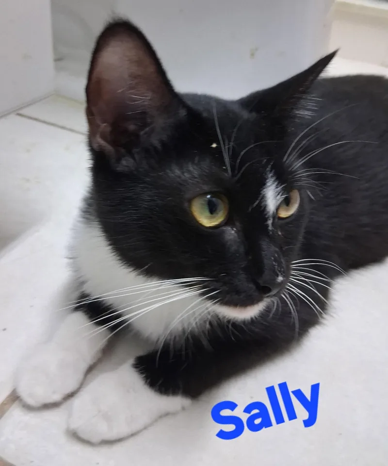 Sally thumbnail 2