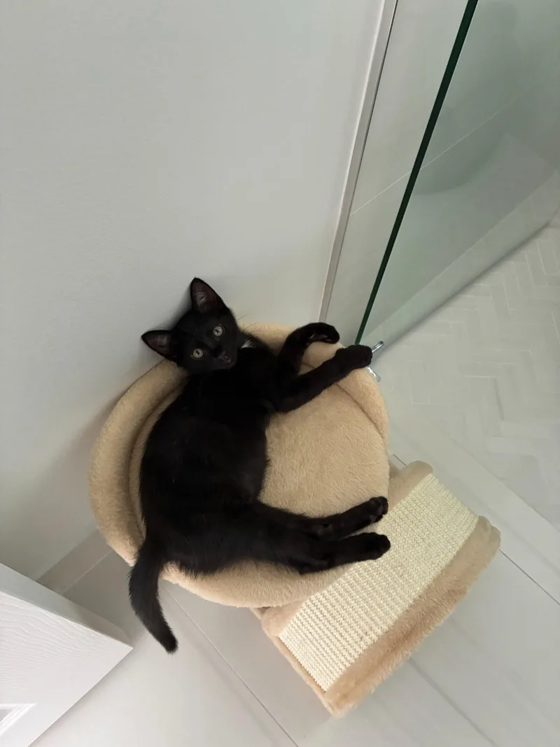 Lenny thumbnail 2