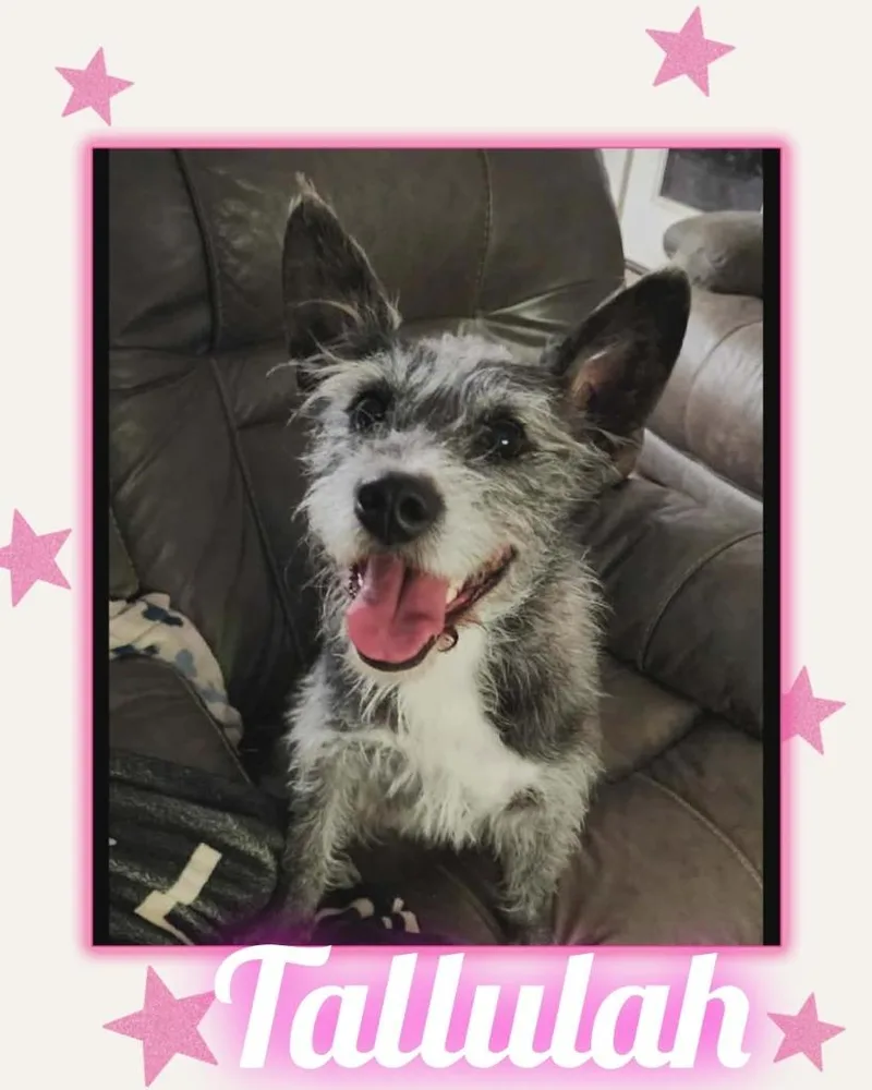 Tallulah