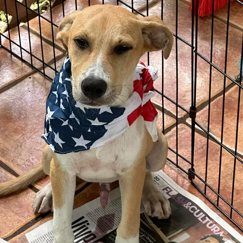 Marcos "i Wait For thumbnail 2