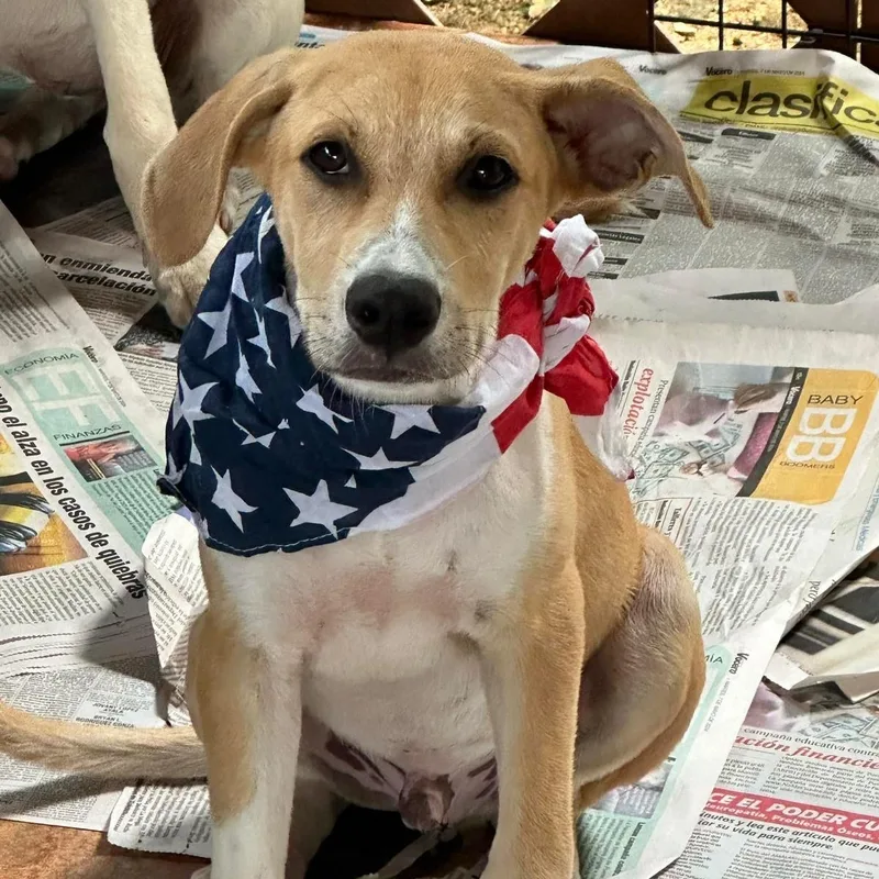 Marcos "i Wait For thumbnail 3