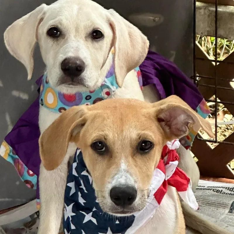 Marcos "i Wait For thumbnail 4