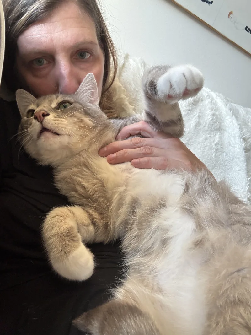 Fat Joe thumbnail 2