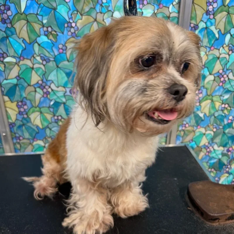 Max Alexander Ii thumbnail 3