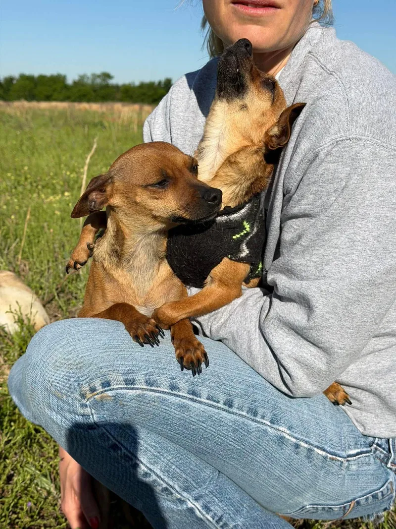 Crash & Eddie  thumbnail 3