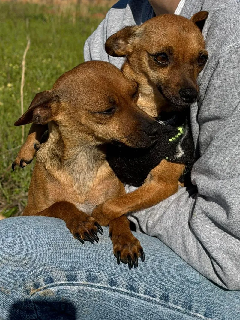 Crash & Eddie  thumbnail 5