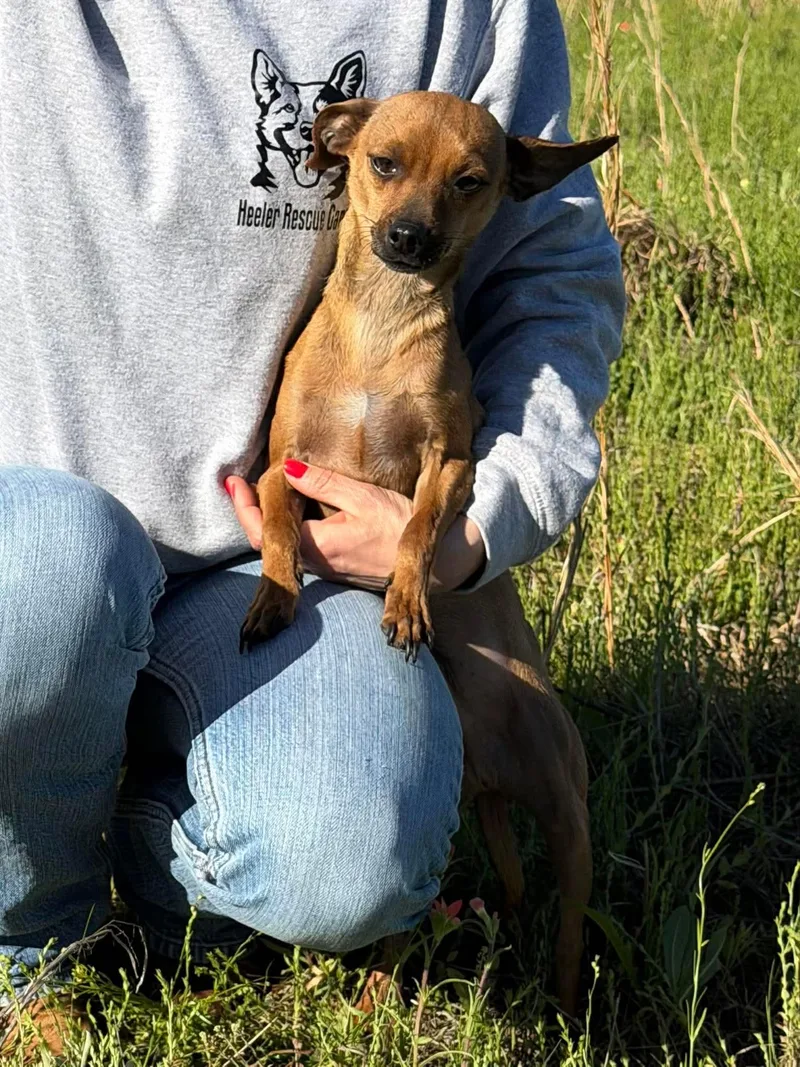 Crash & Eddie  thumbnail 6