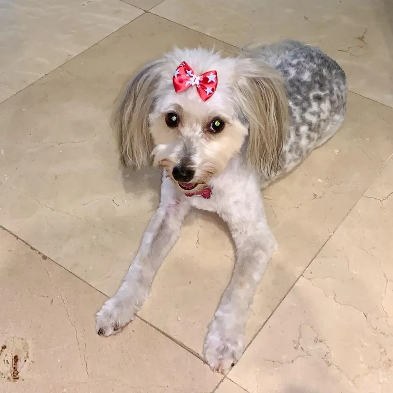 Chloe thumbnail 3