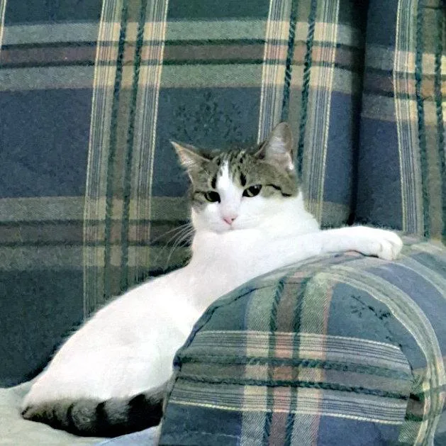 Phillippa thumbnail 2