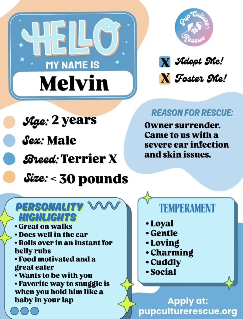 Melvin thumbnail 2