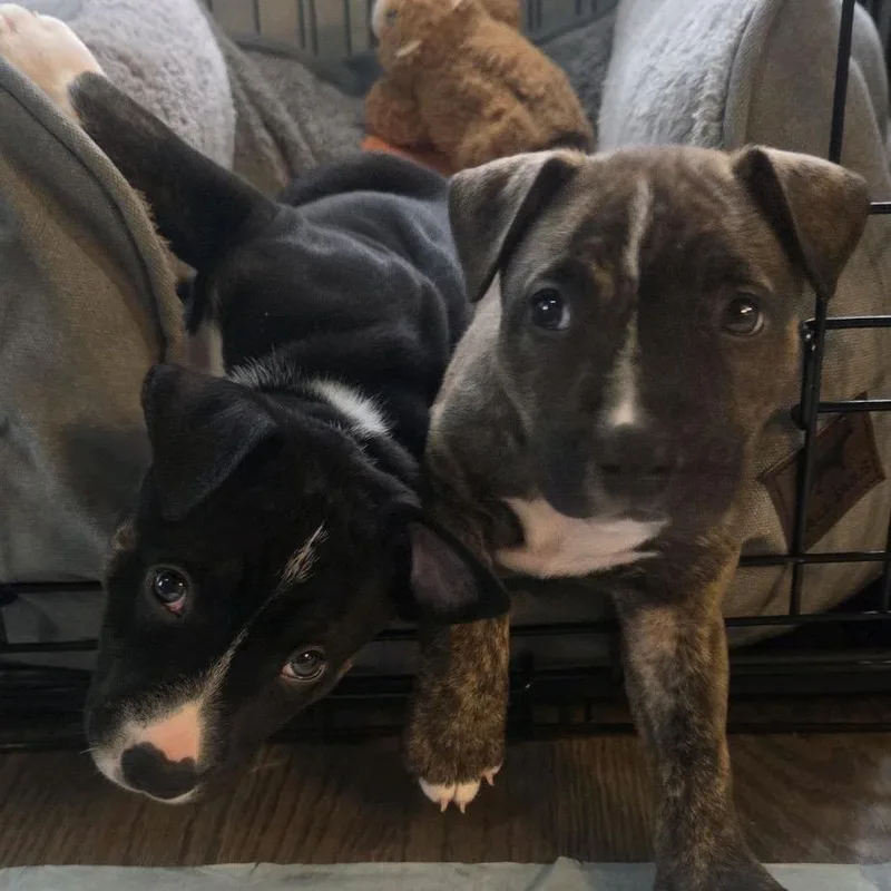 Michael Jackson thumbnail 2