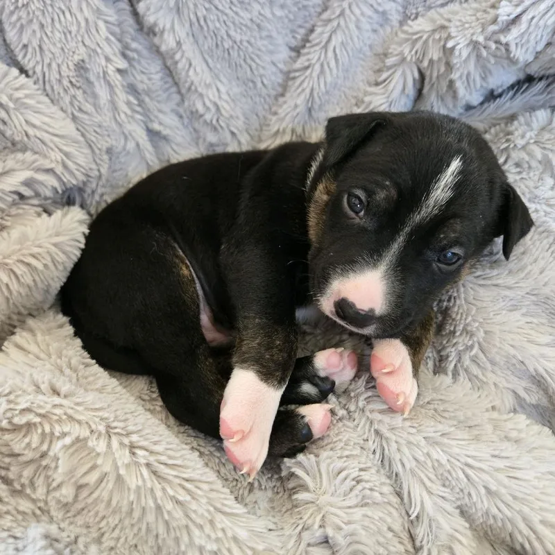 Michael Jackson thumbnail 3