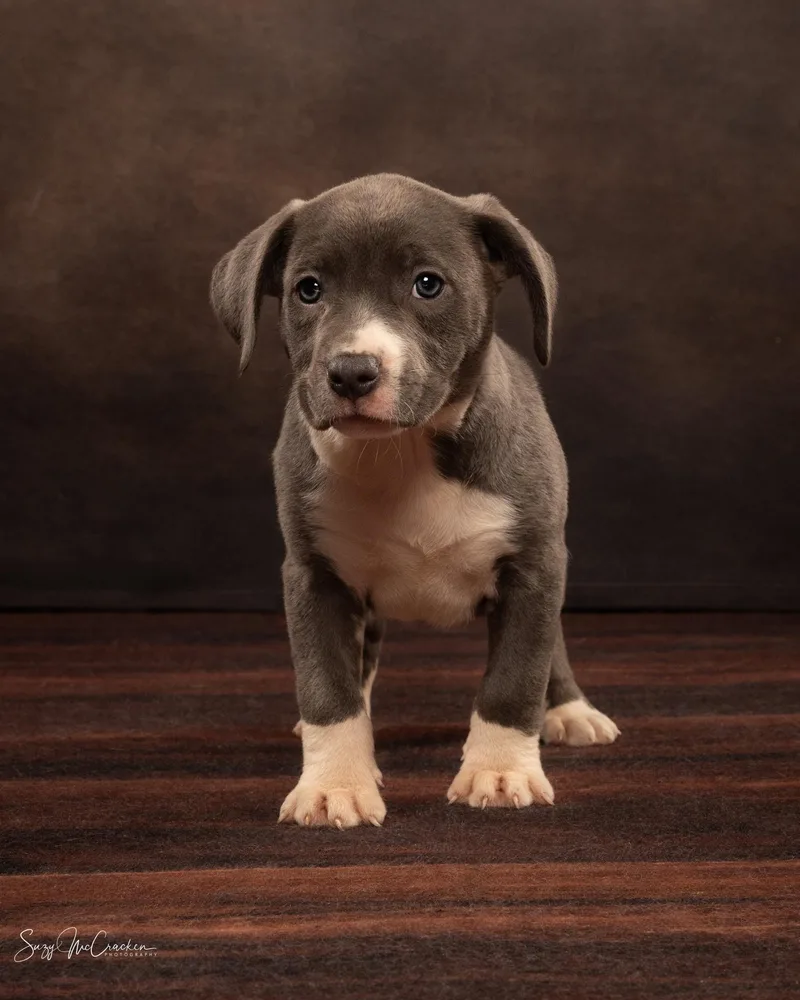 Peanut   $ thumbnail 2