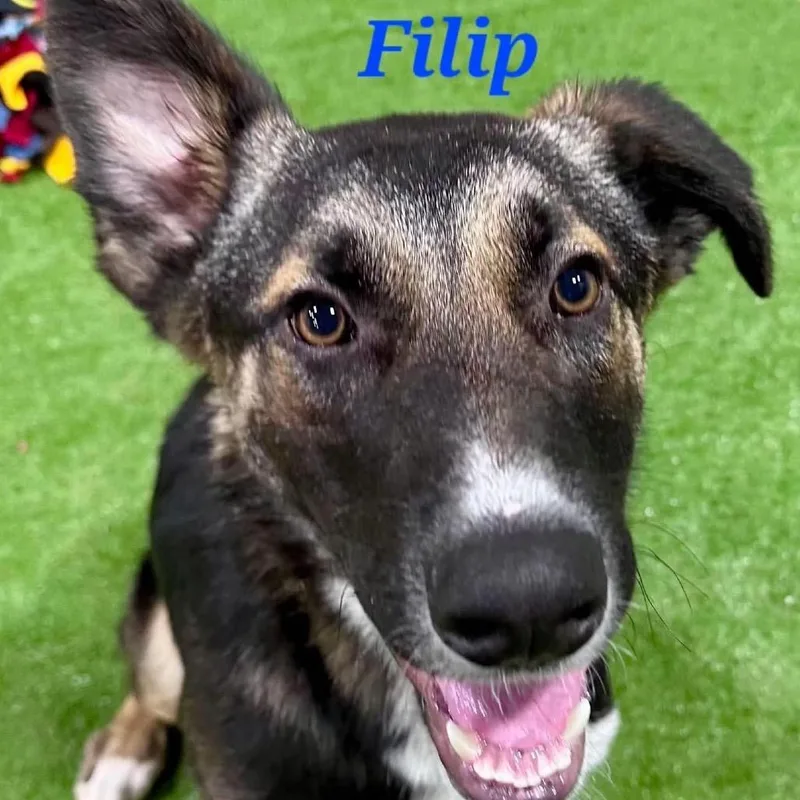 Filip thumbnail 3