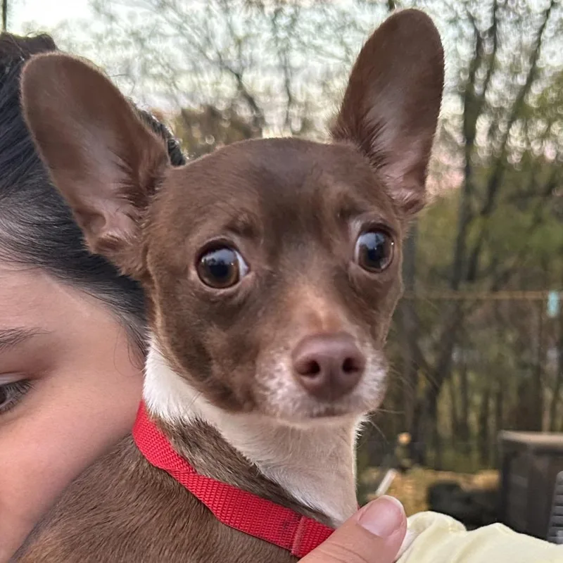Pablo thumbnail 3