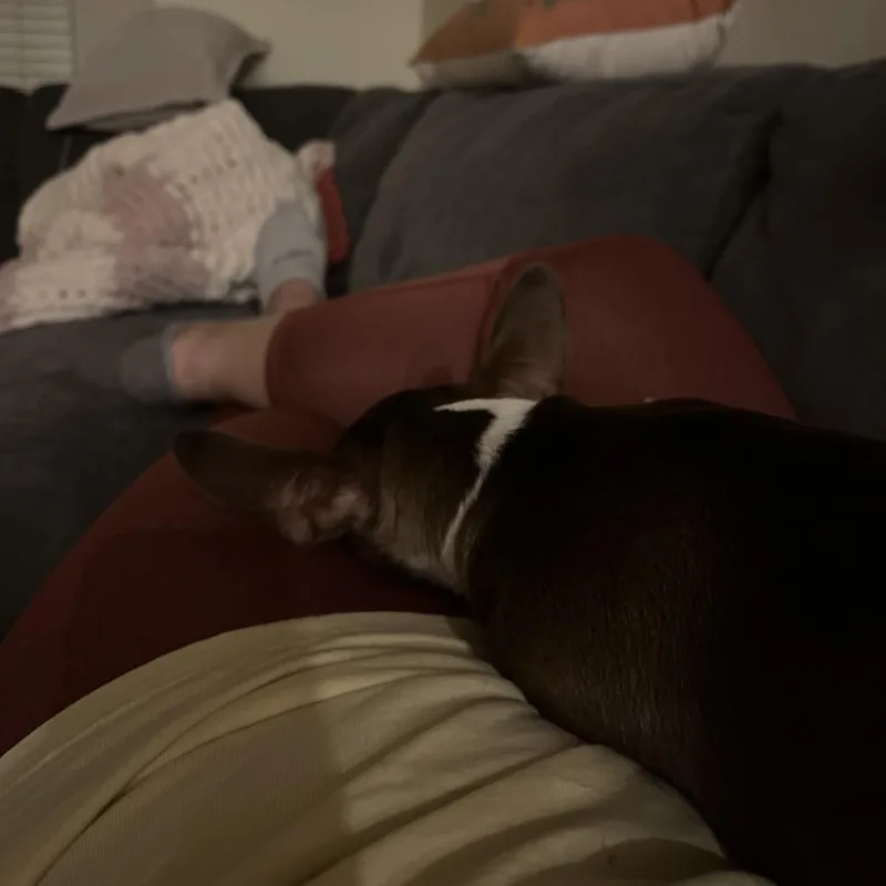 Pablo thumbnail 4