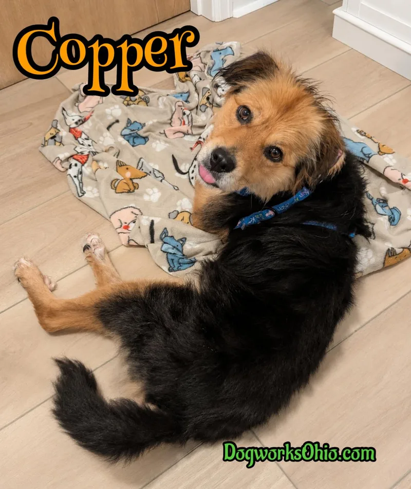 Copper thumbnail 2