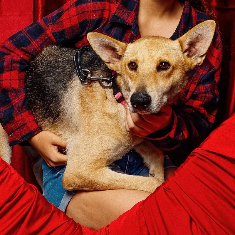 Lilly Bell thumbnail 5