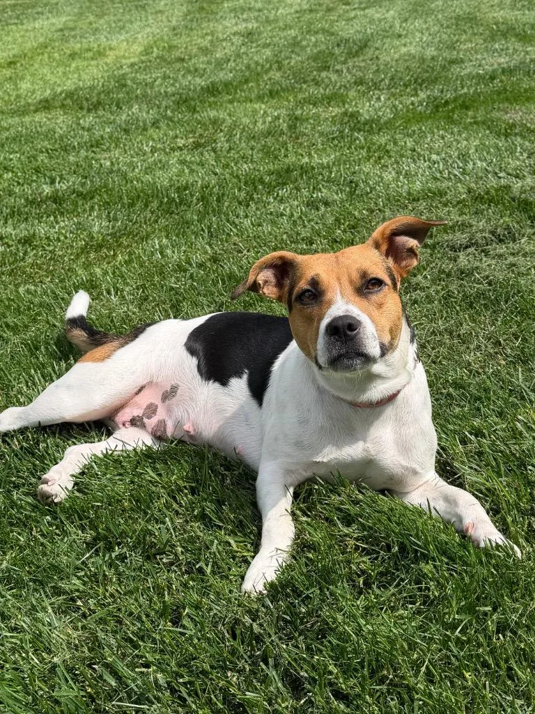 Josie