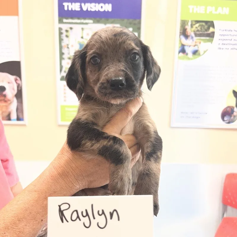 Raylyn thumbnail 2