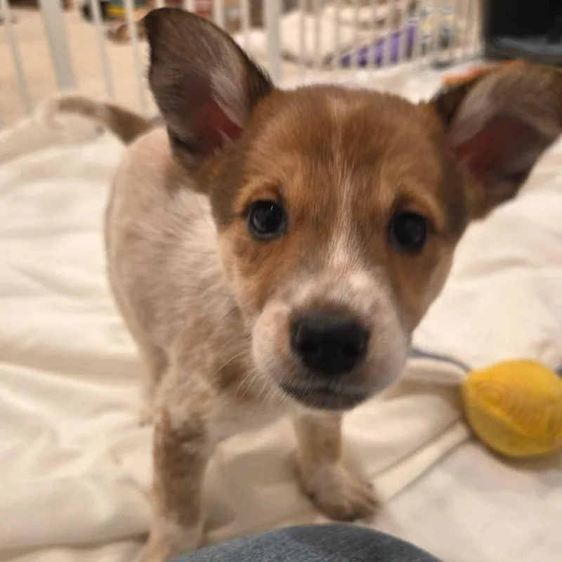 Starbucks thumbnail 3