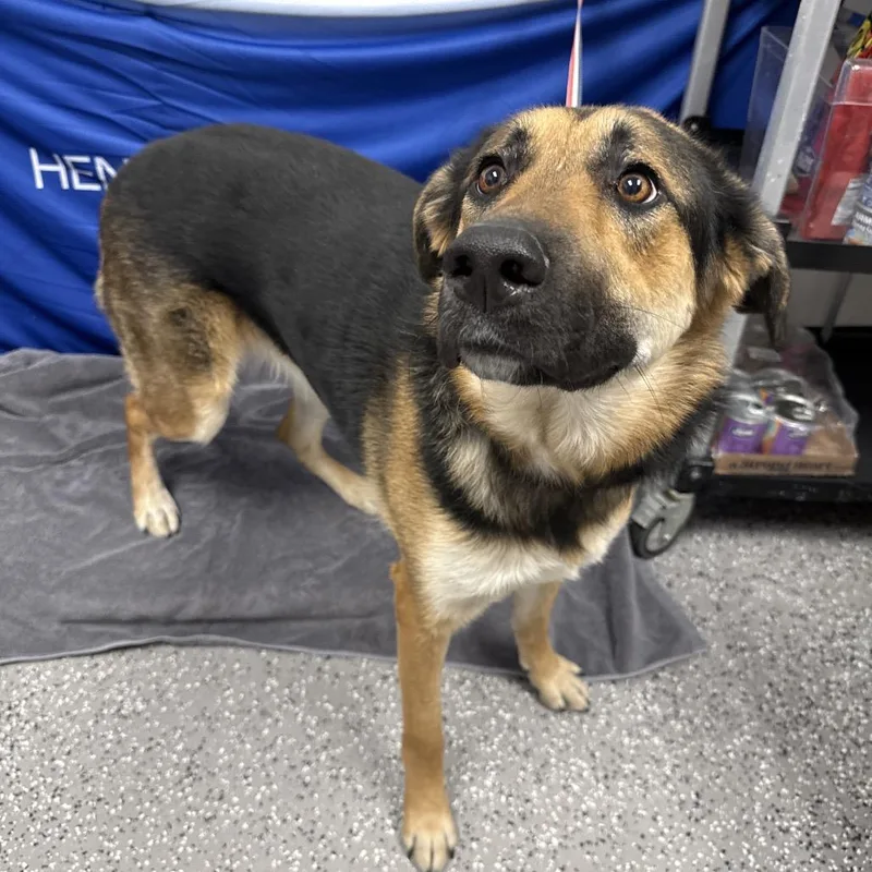 Penelope thumbnail 2