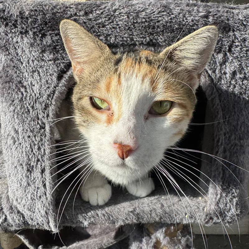 Mama Marinara thumbnail 2