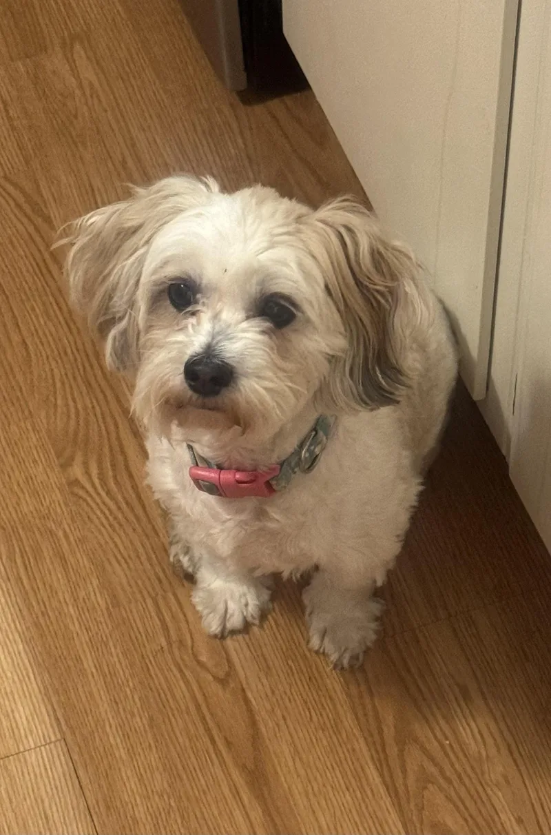 Osita