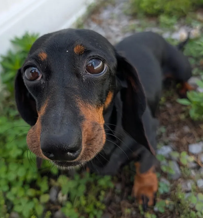 Malorie In Fl thumbnail 5