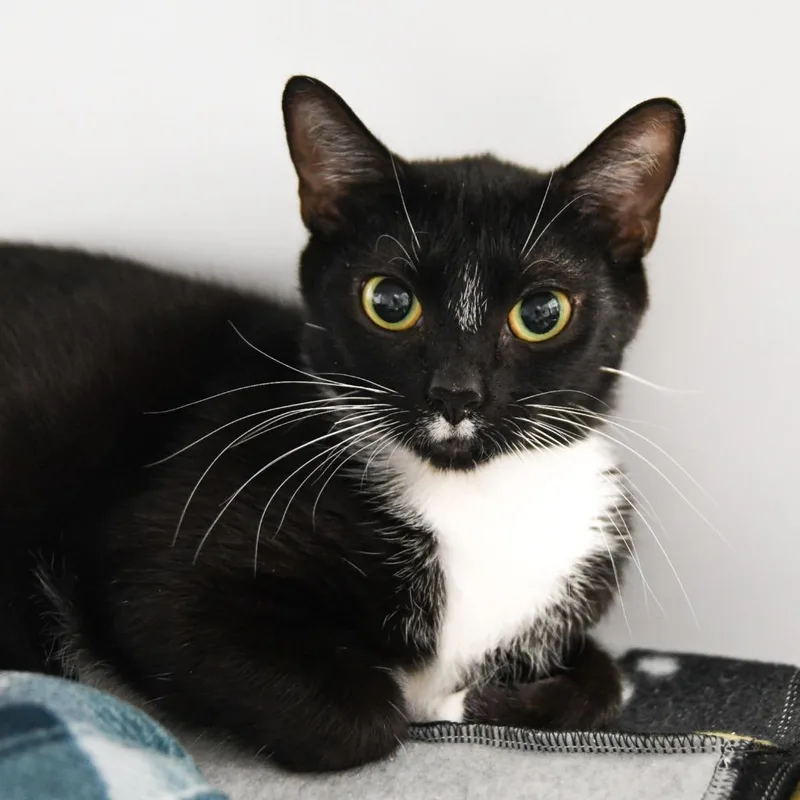 Darby Rose thumbnail 2