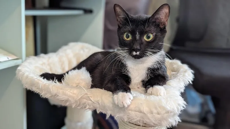 Darby Rose thumbnail 3