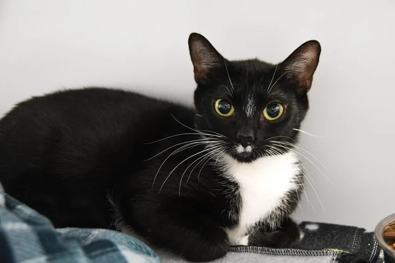 Darby Rose thumbnail 5