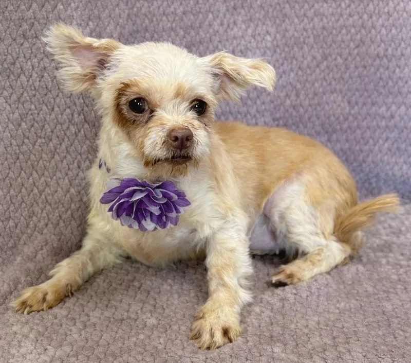 Juliette thumbnail 3