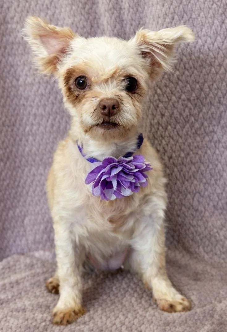 Juliette thumbnail 5