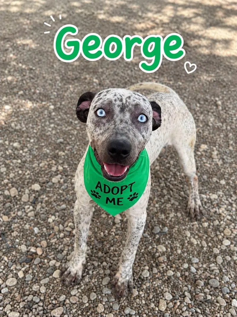 George