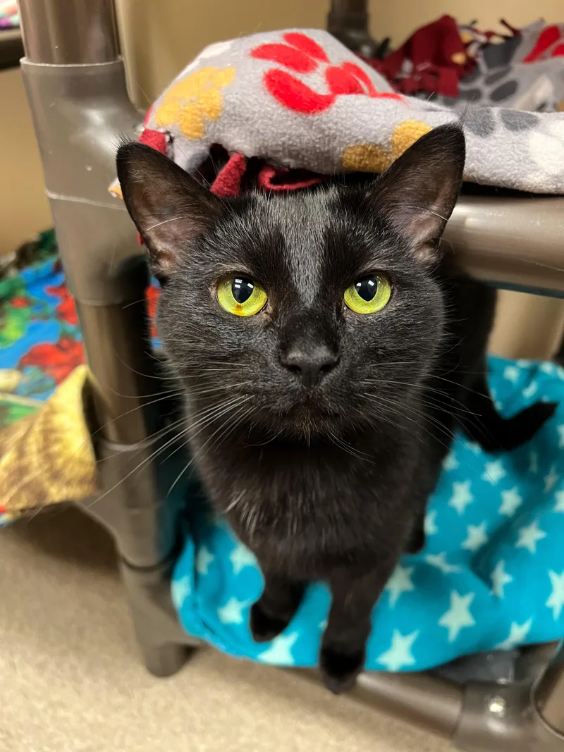 Tiny Girl thumbnail 2