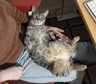 Callie thumbnail 2