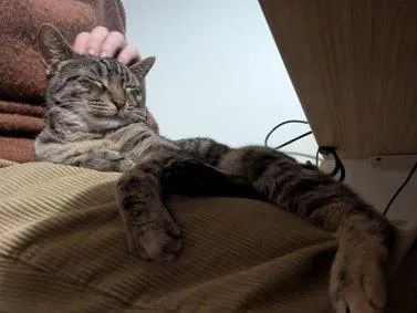 Callie thumbnail 4