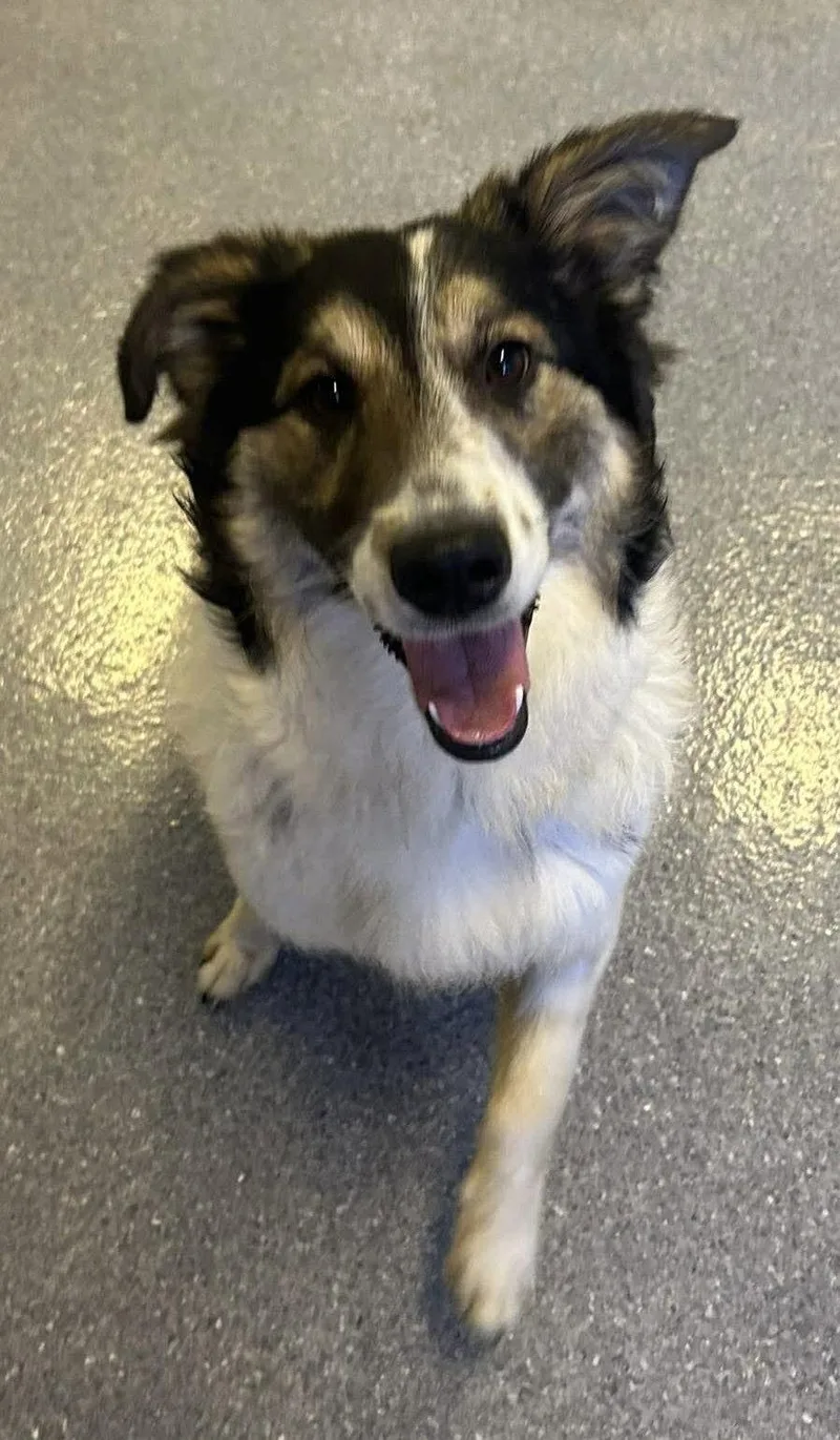 Lady Blue thumbnail 3