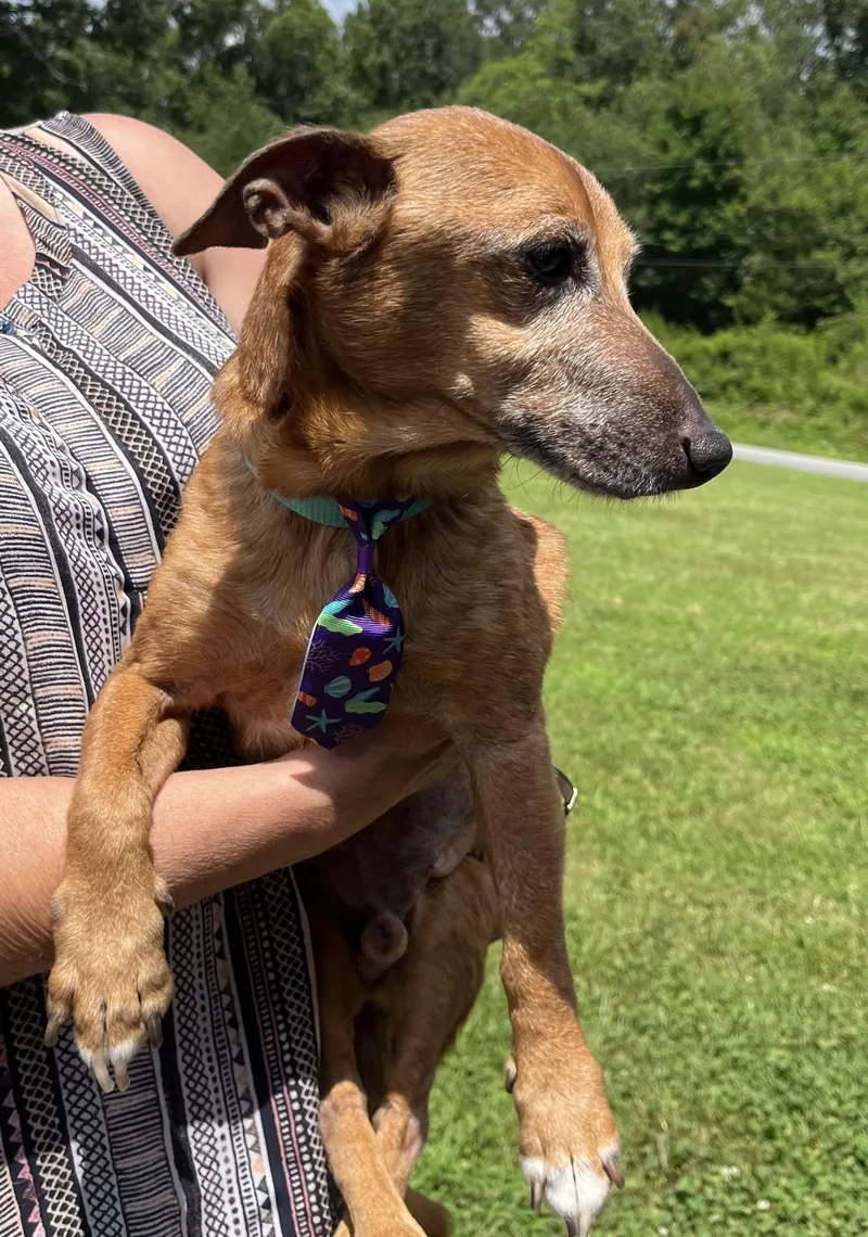 Frederick thumbnail 2