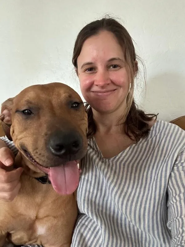 An adult medium-sized male Black Mixed Breed dog named Turmeric for adoption in Cincinnati, OH