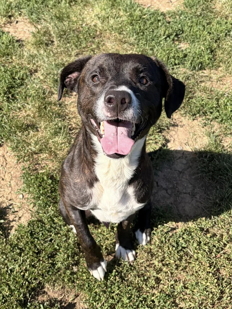 Max