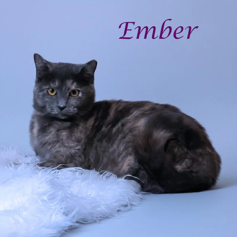 Ember C