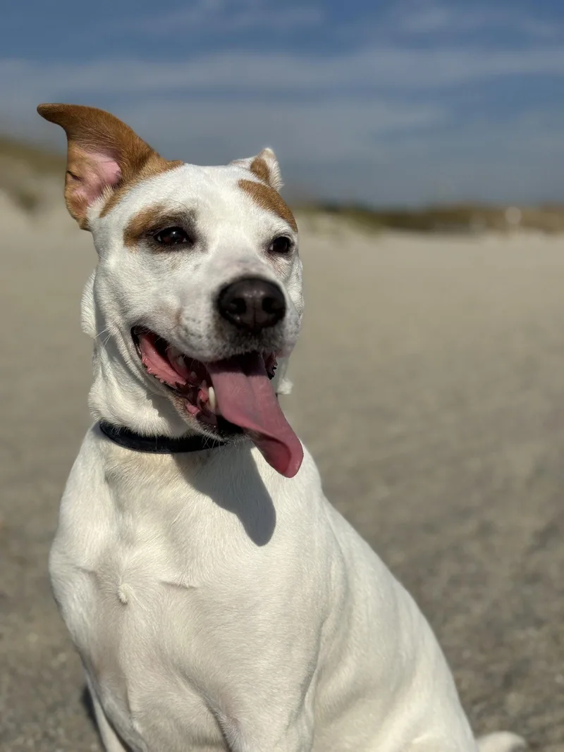 Ellie
