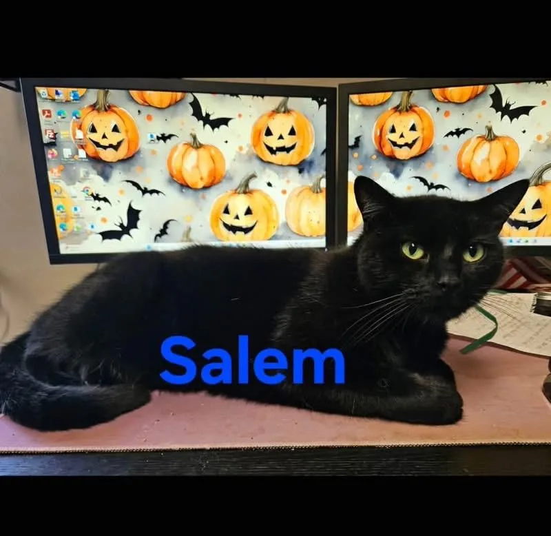 Salem thumbnail 2