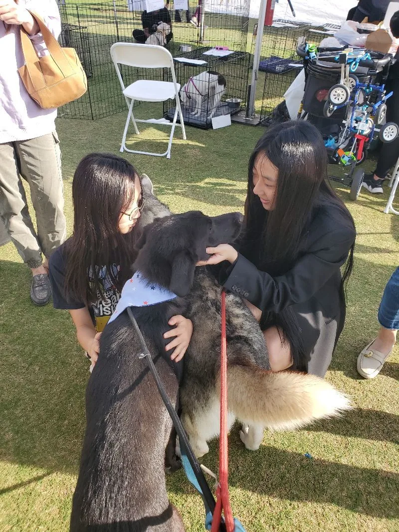 Miles Smiles thumbnail 4